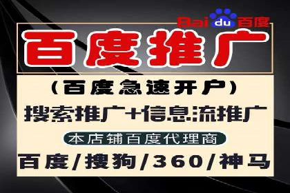 竞价推广中的着陆页策略：成功案例解读